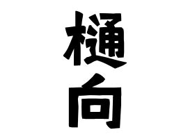 山向|山向の由来、語源、分布